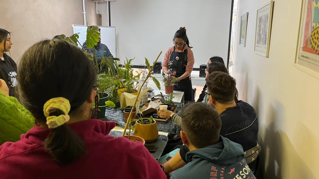 Encuentro presencial sobre plantas