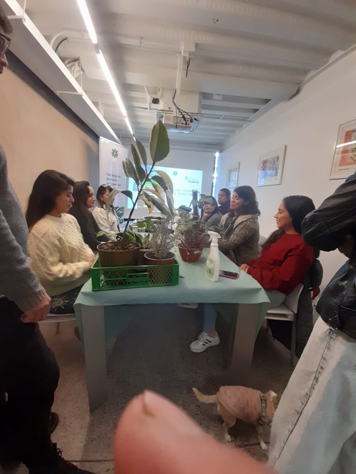 Actividad educativa de Dra. Plantas