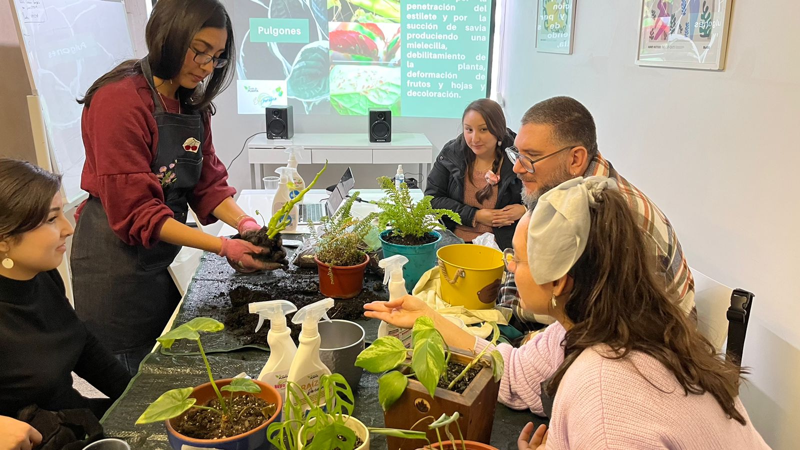 Taller de plantas