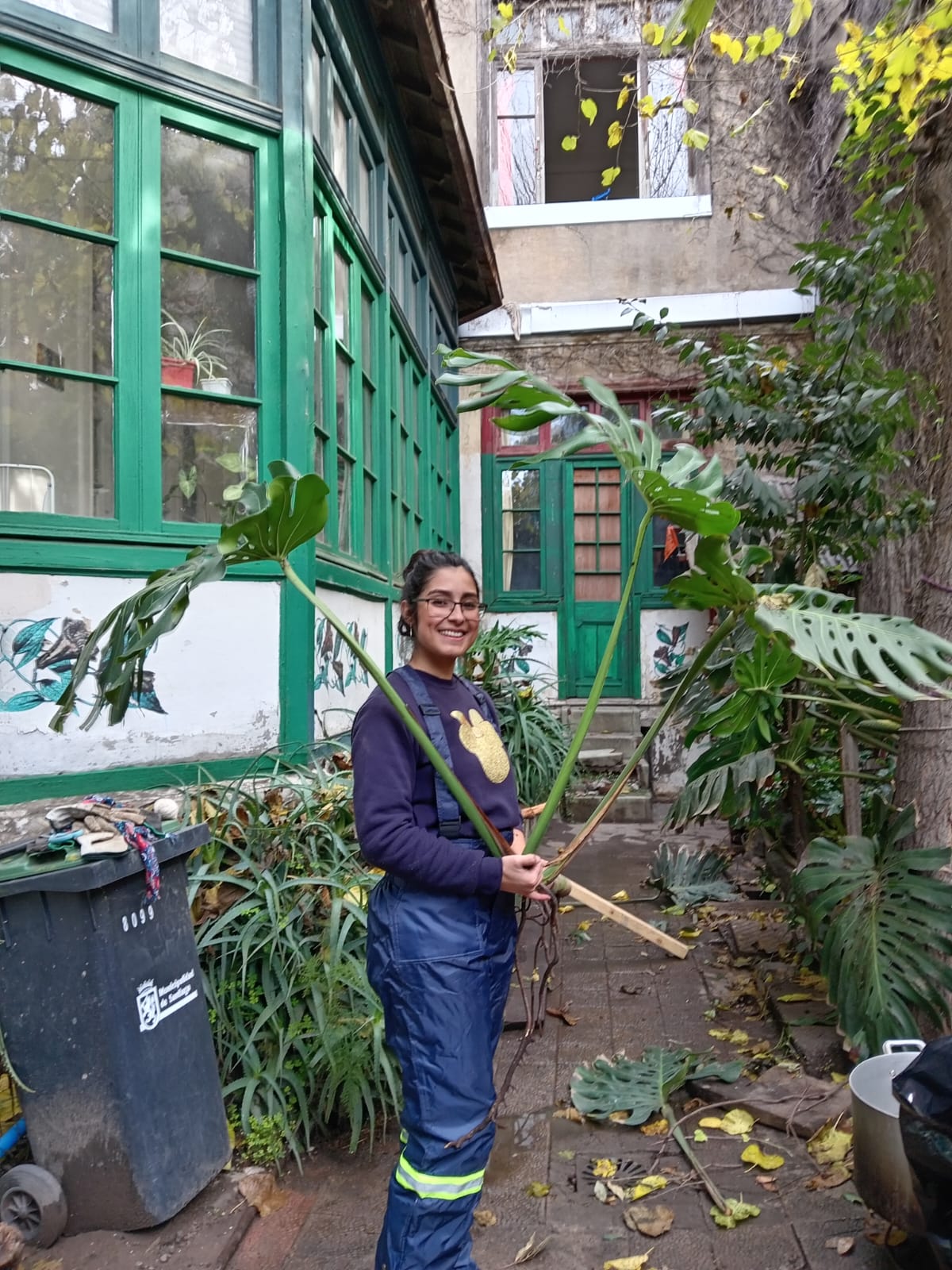 Trabajo con plantas