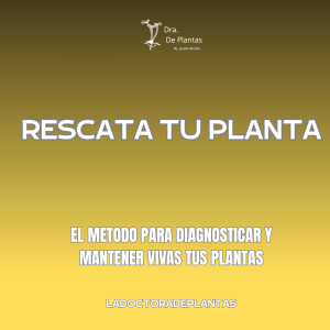 MINI CURSO  : Manual digital para salvar TU PLANTA