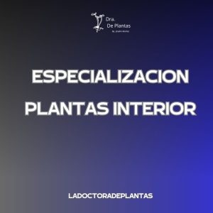 ESPECIALIZACION PLANTAS INTERIOR