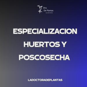 Especializacion Huerto y Poscosecha
